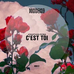 Cover of C'est Toi