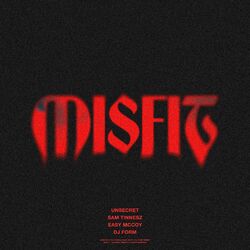 Cover of Misfit