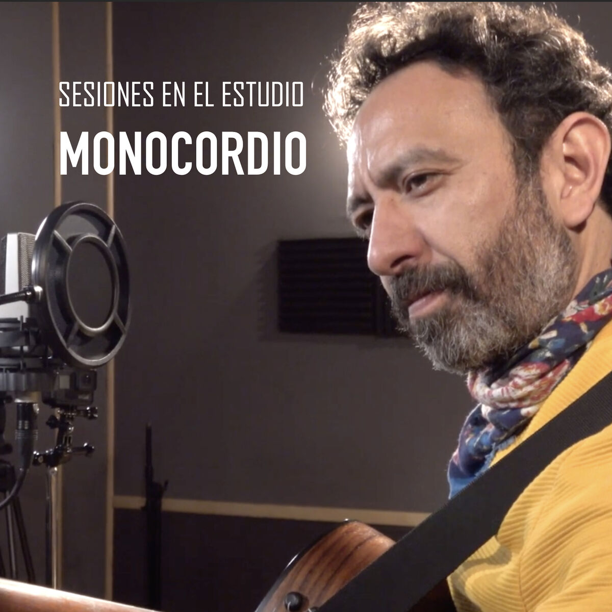 Album cover of Sesiones en el Estudio: Monocordio