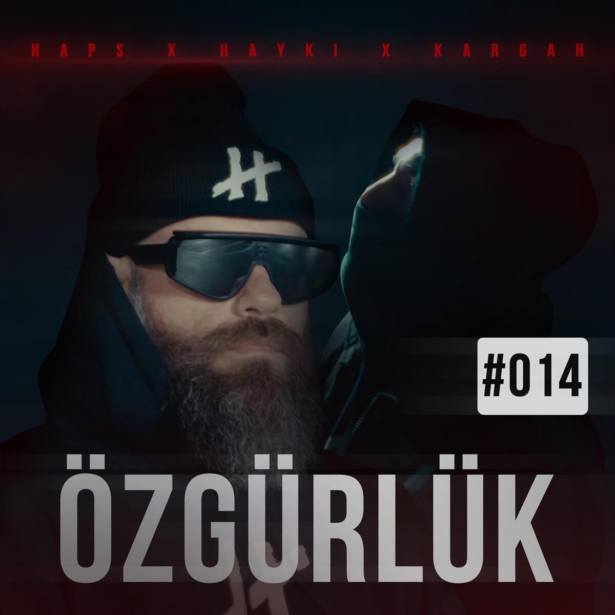 Album cover of Özgürlük