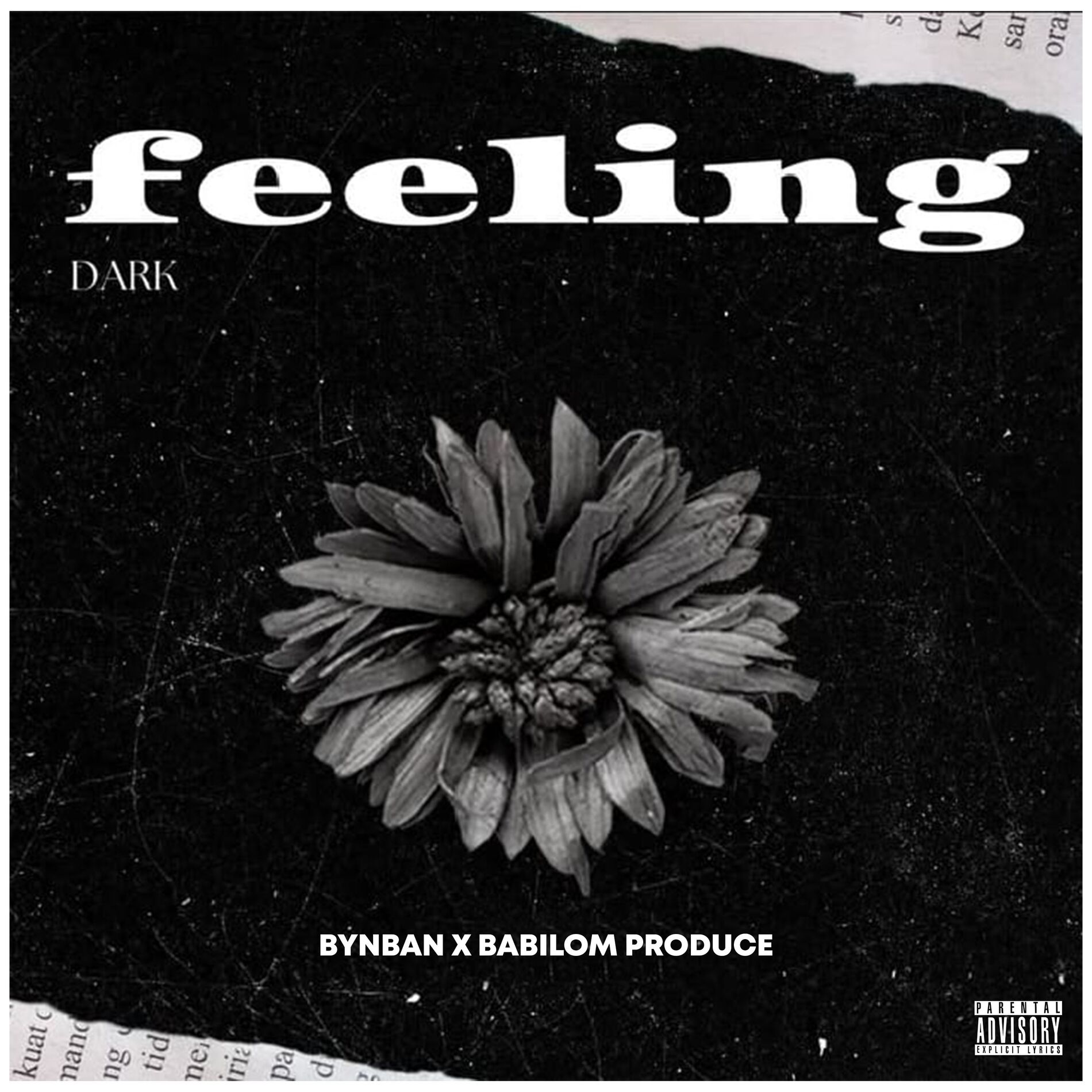 Album cover of Feeling Dark ( la Red de los Caimanes )
