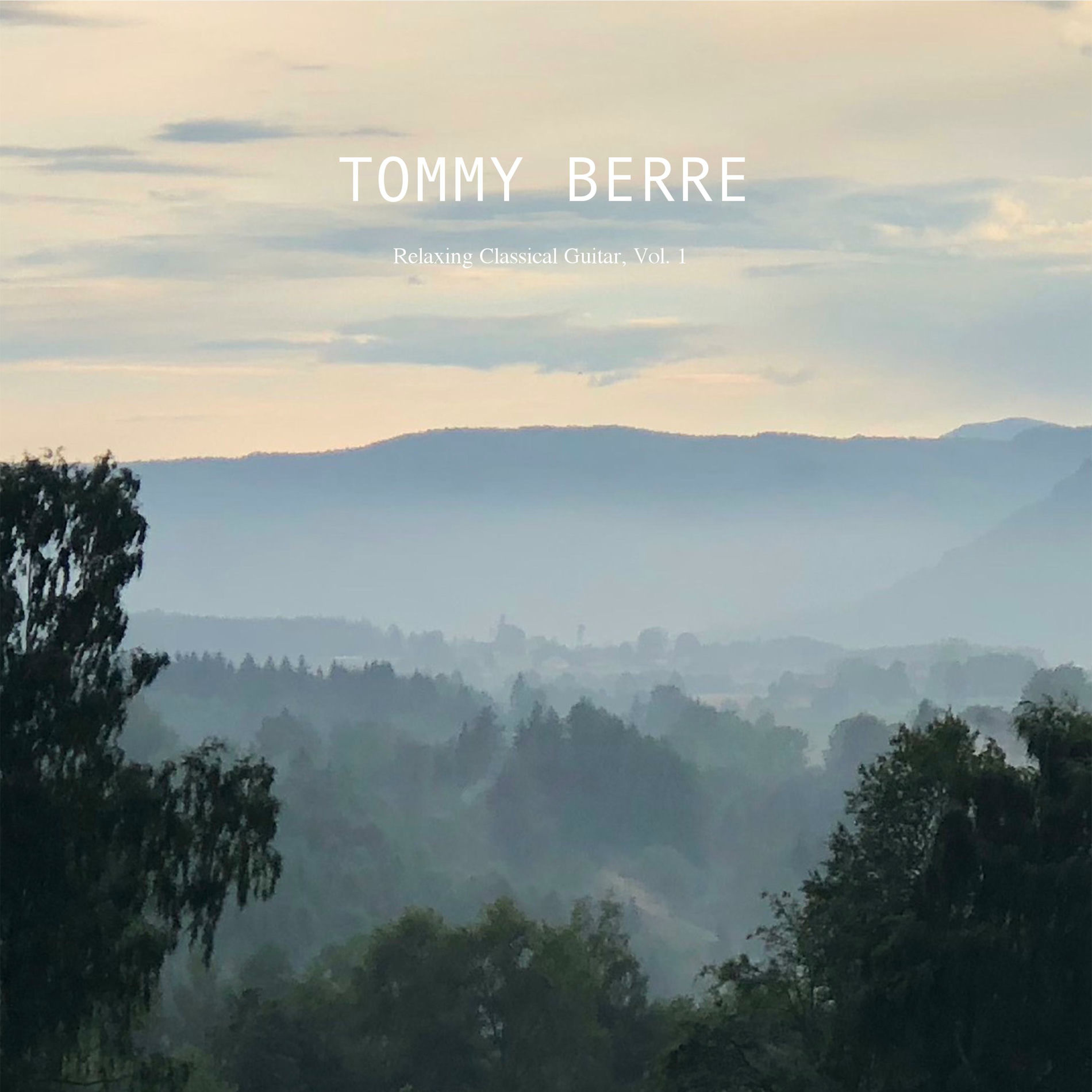 Album cover of Vicente