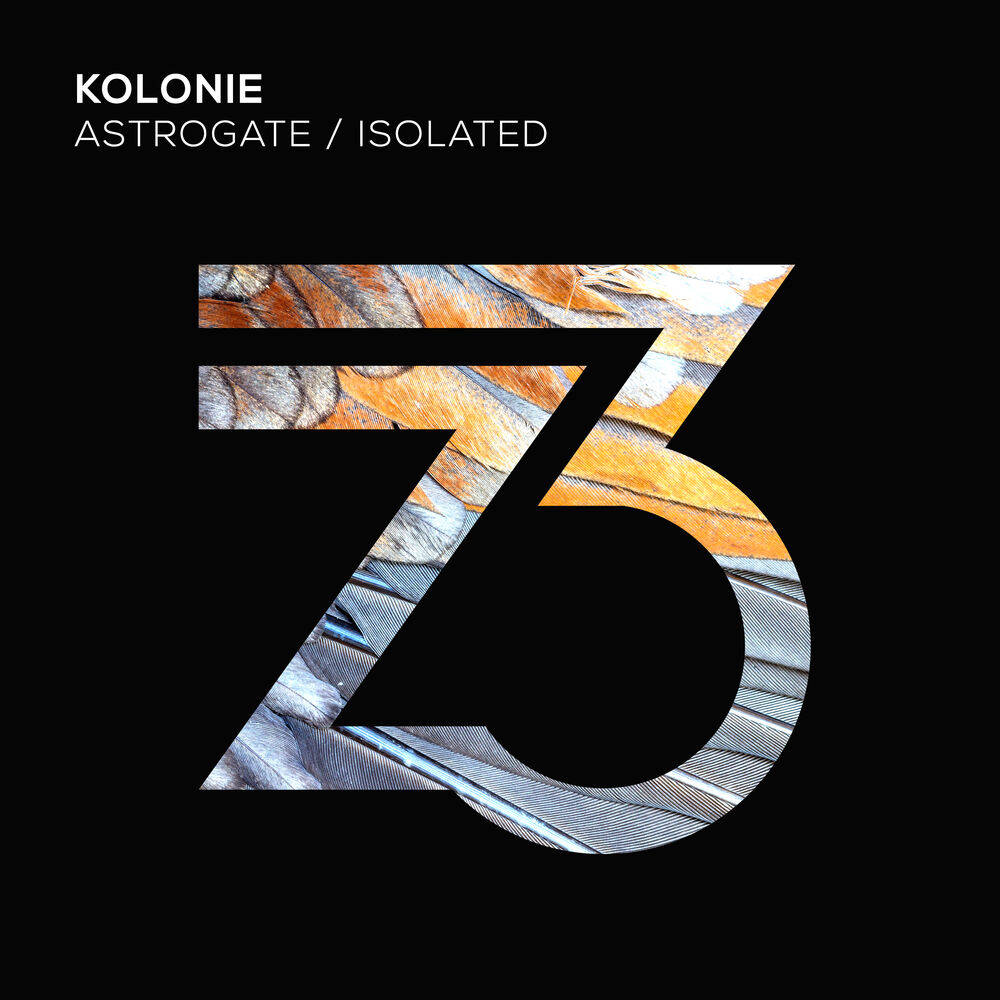 Picture of Isolated/Astrogate