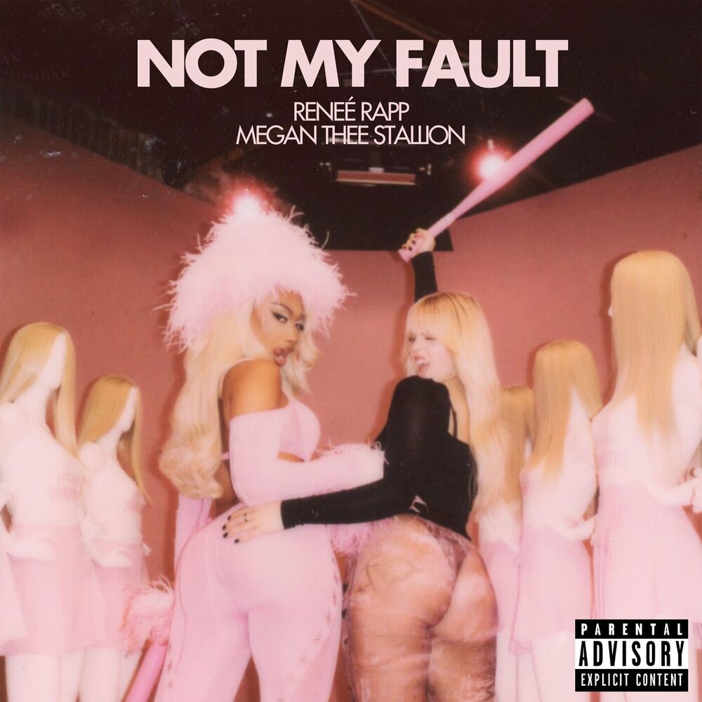 Picture of Not My Fault