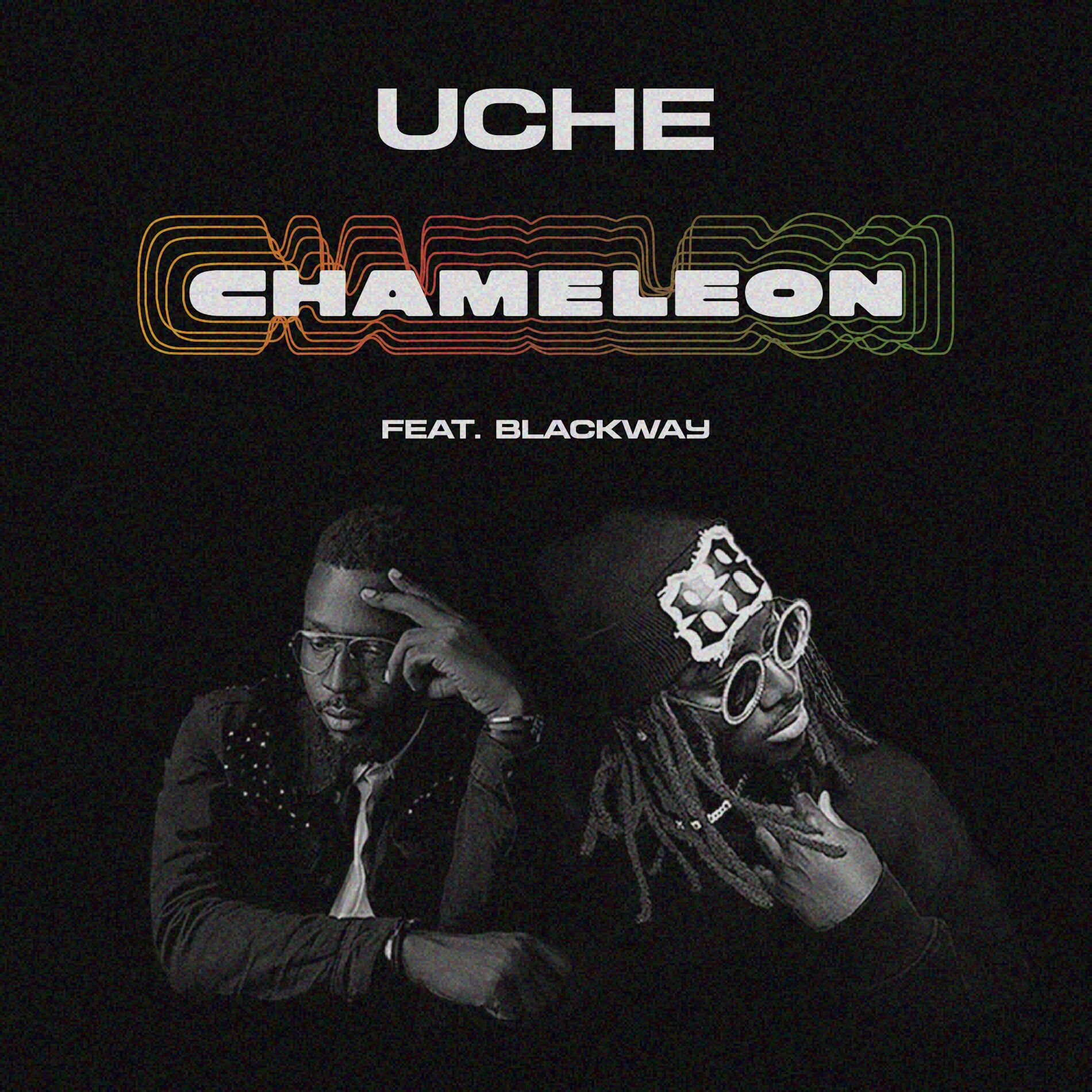 Album cover of Chameleon