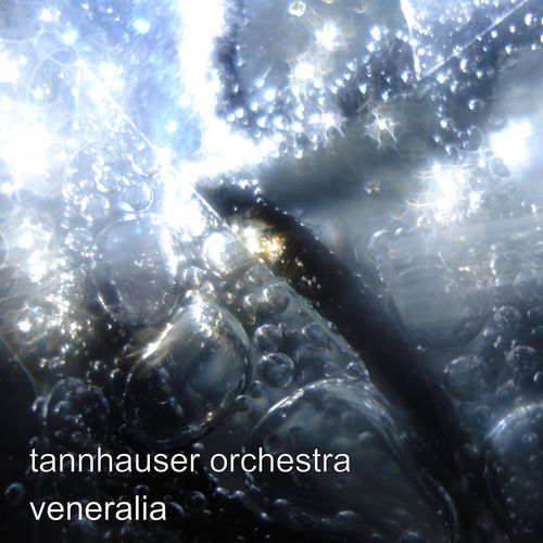 Veneralia sleeve
