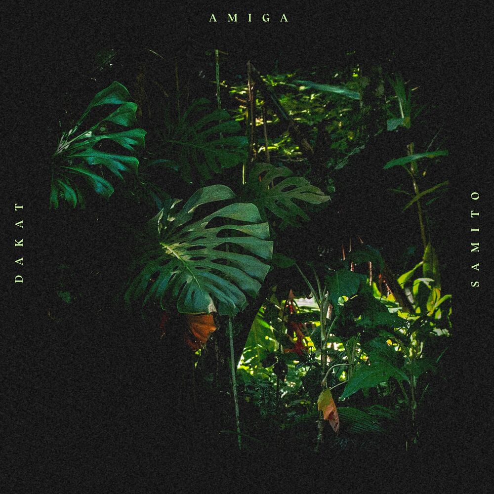 Picture of Amiga