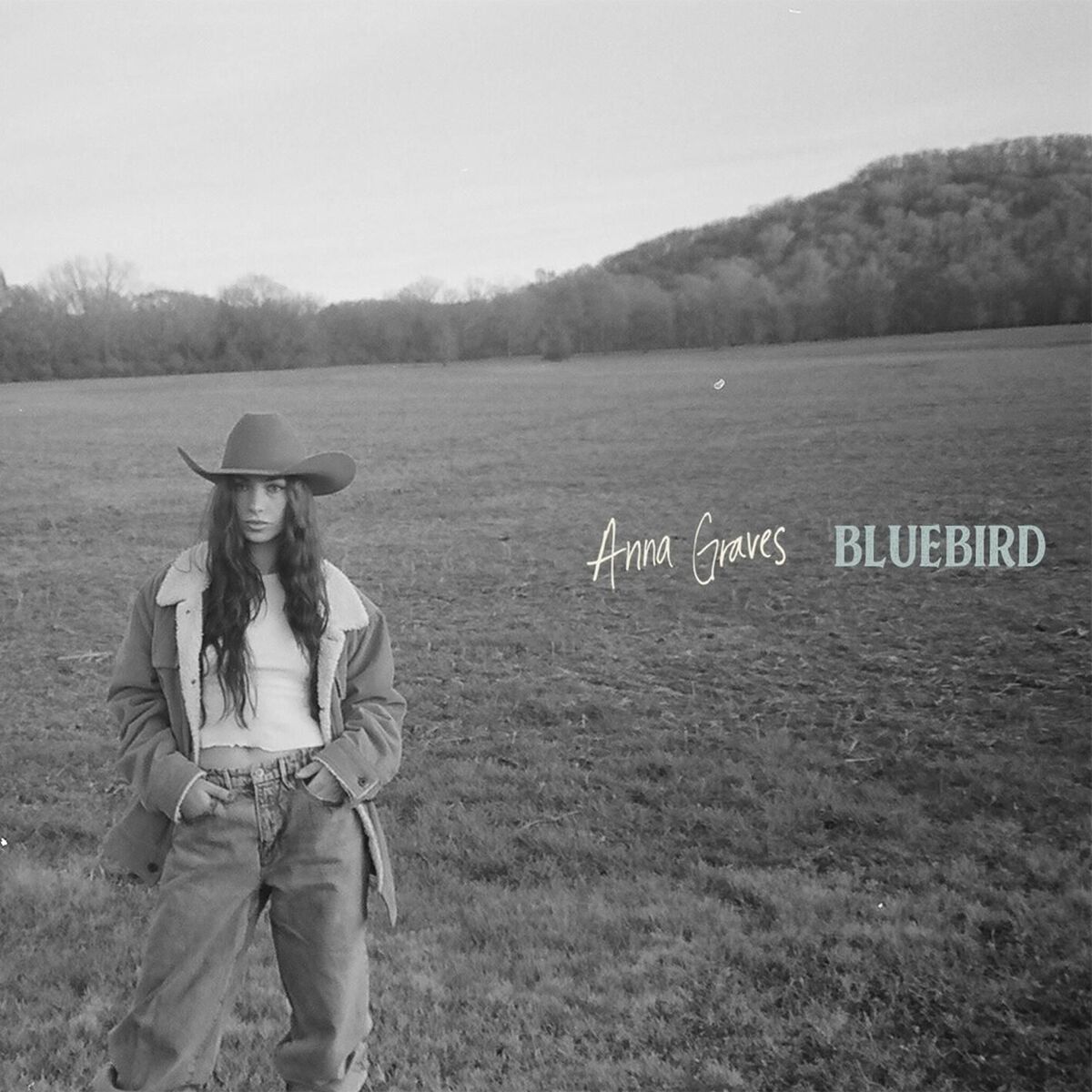 Album cover of Bluebird