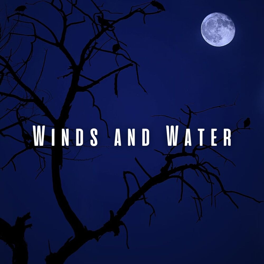 Picture of Winds and Water: Sleep Soundscapes with Light Rain and Birds