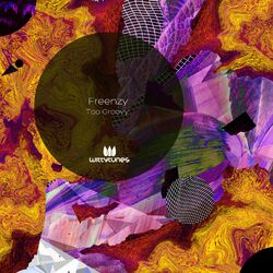 Cover of Too Groovy