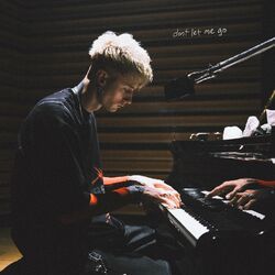 Cover of dont let me go