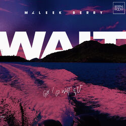 Cover of Wait