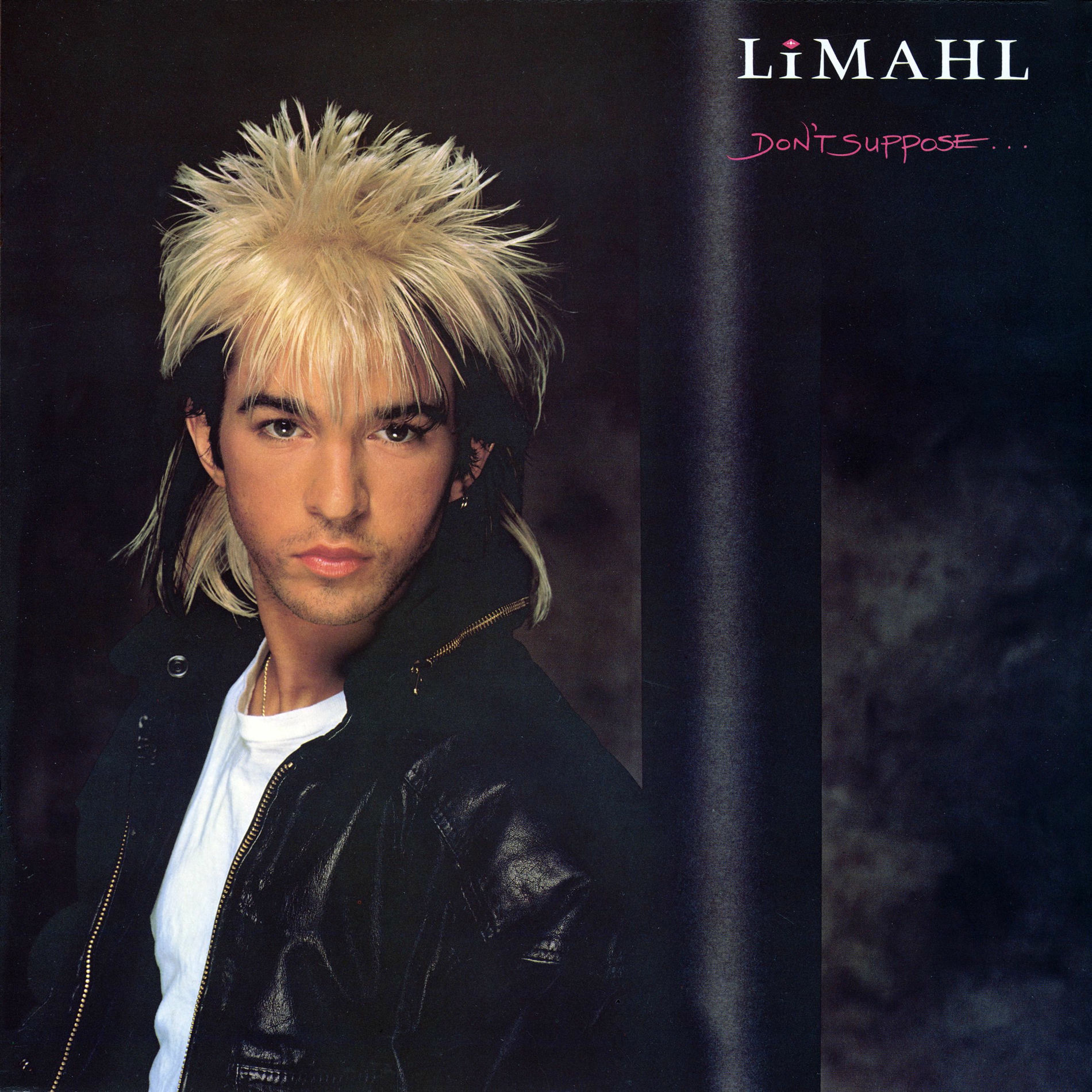 Album cover of Don't Suppose
