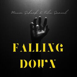 Cover of Falling Down
