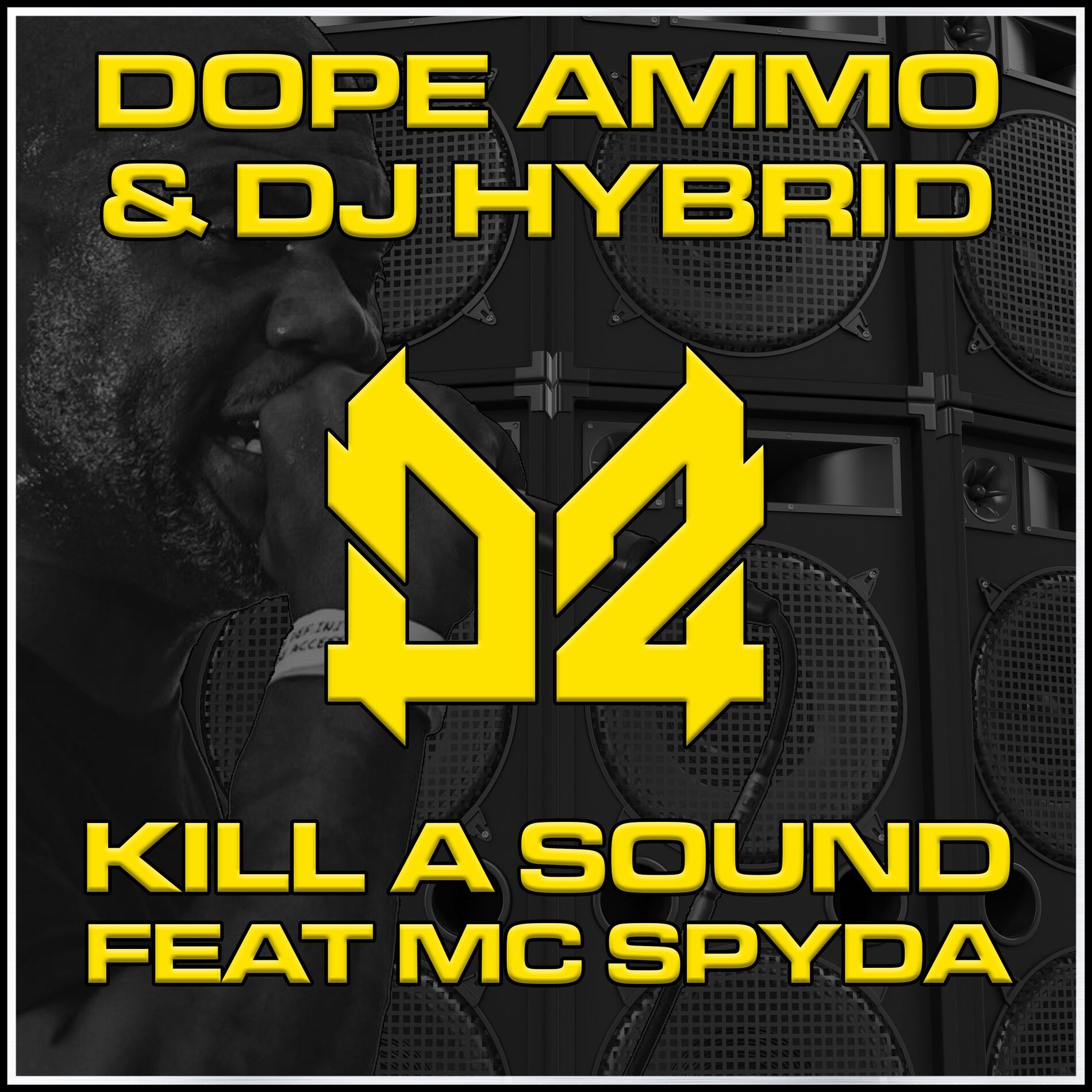 Album cover of Kill A Sound