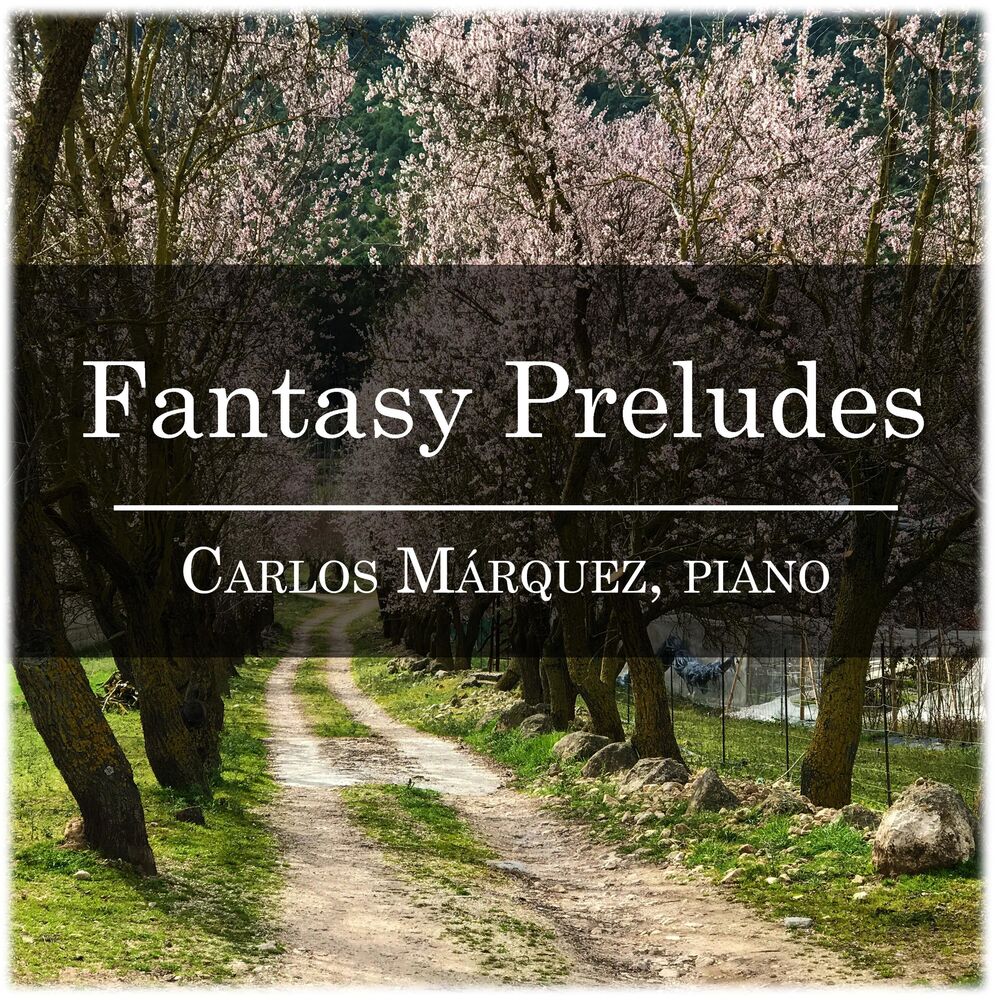 Picture of Fantasy Preludes