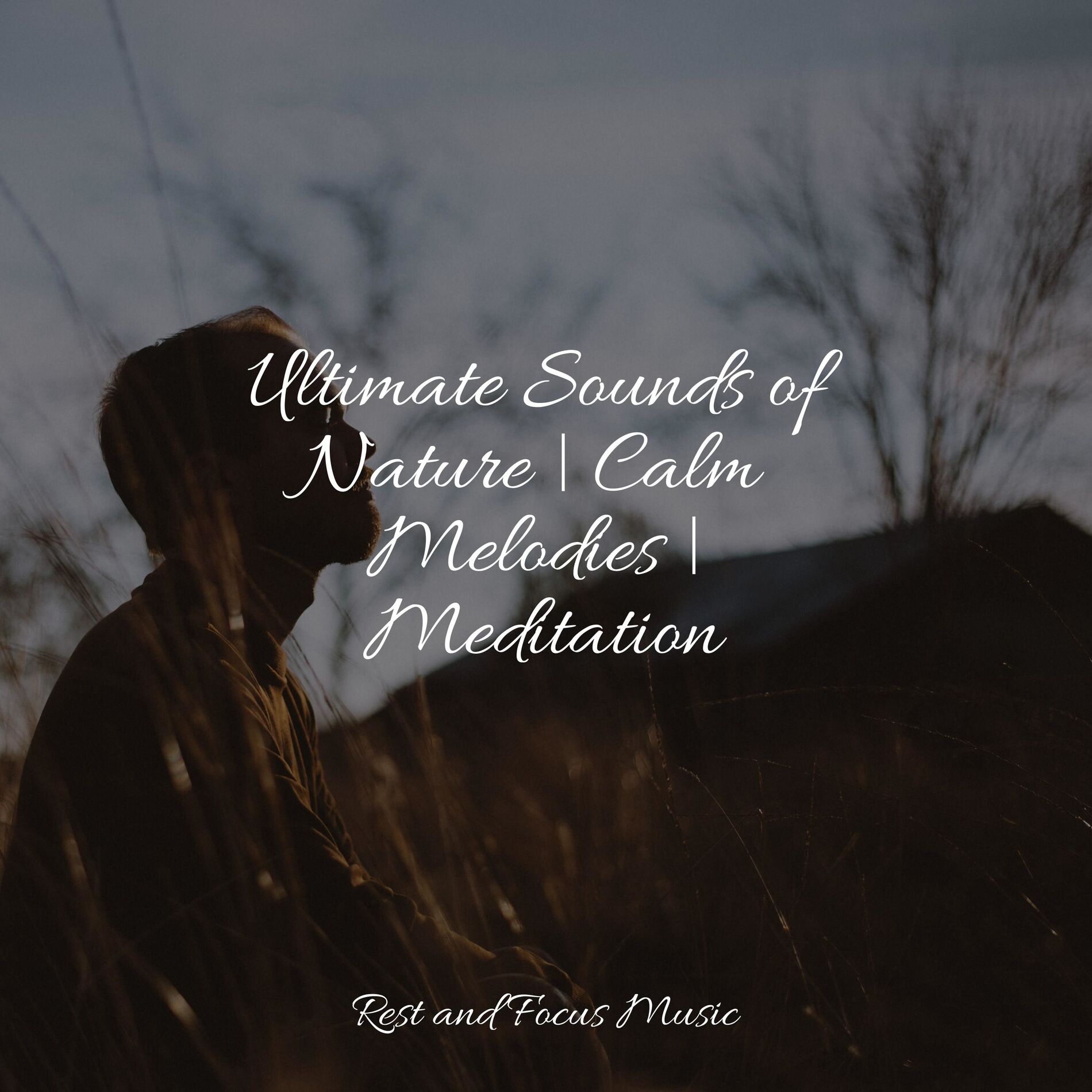 Album cover of Ultimate Sounds of Nature | Calm Melodies | Meditation