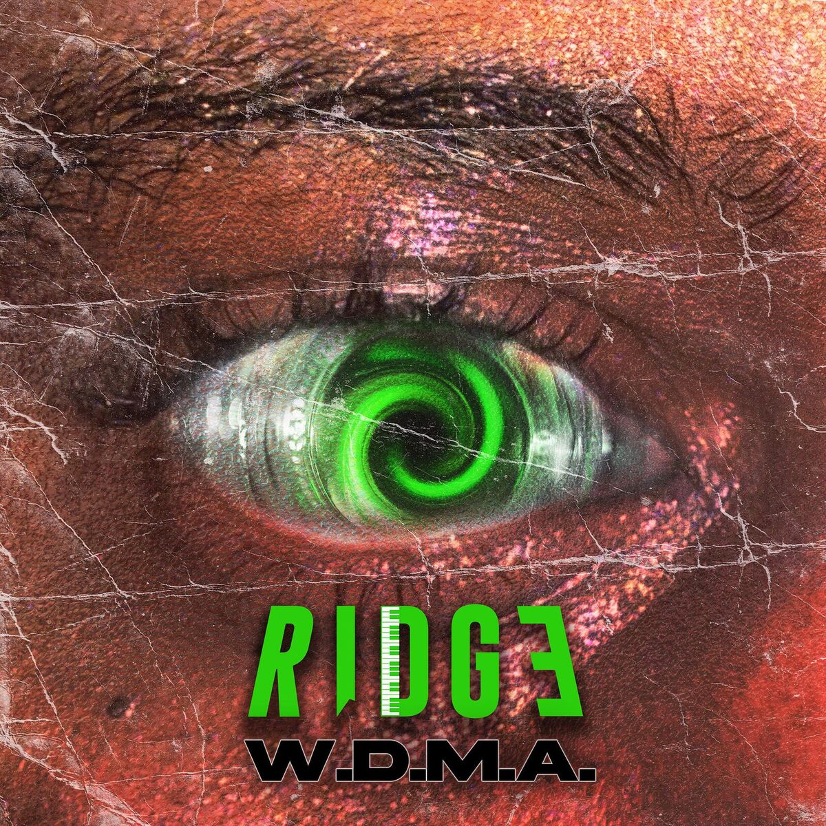 Album cover of W.D.M.a.