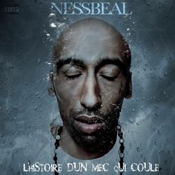 Cover of L'histoire d'un mec qui coule