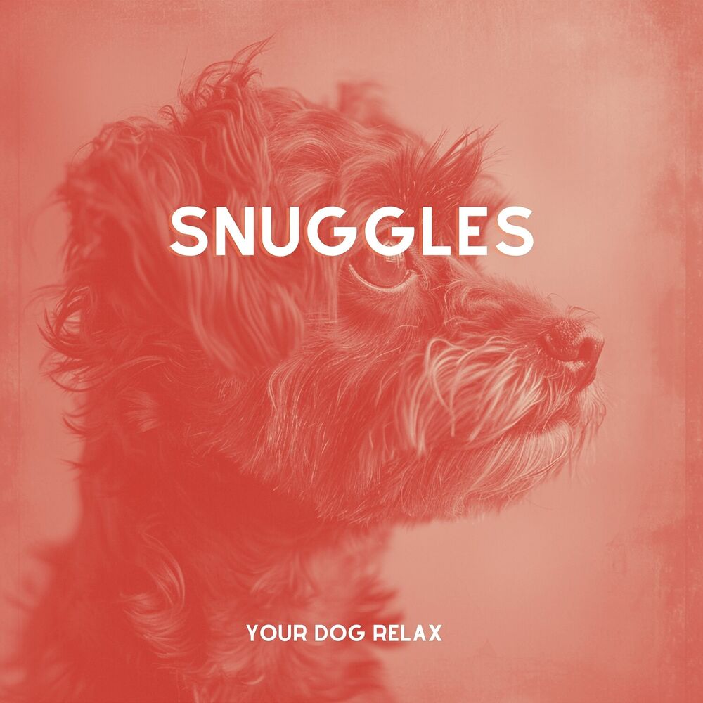 Picture of Snuggles: Cadences Catering to Canine Comfort