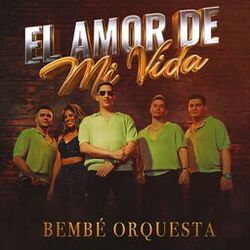 Cover of El Amor de mi Vida