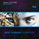 Sha'tari by Kenny Palmer album cover