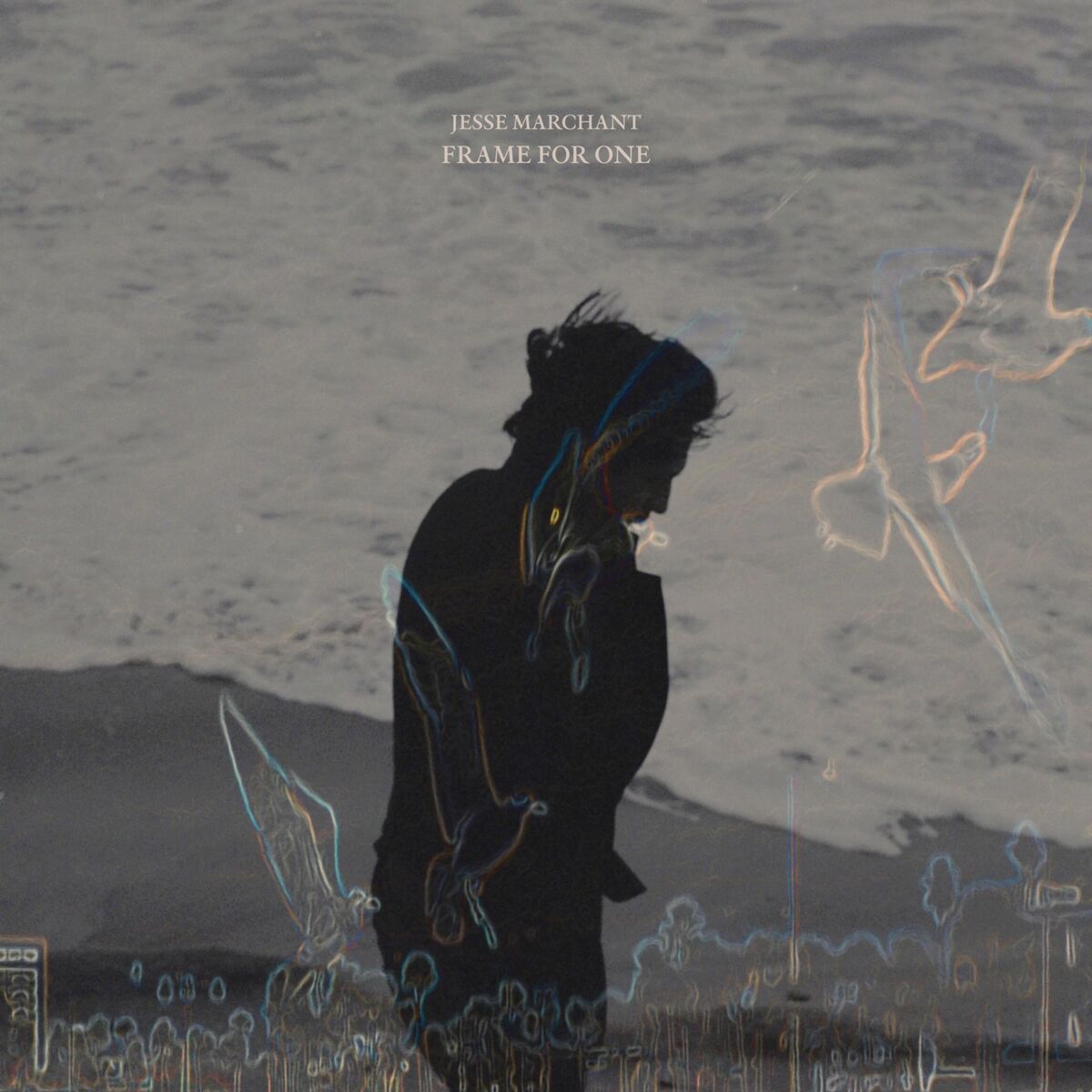 Album cover of Frame for One
