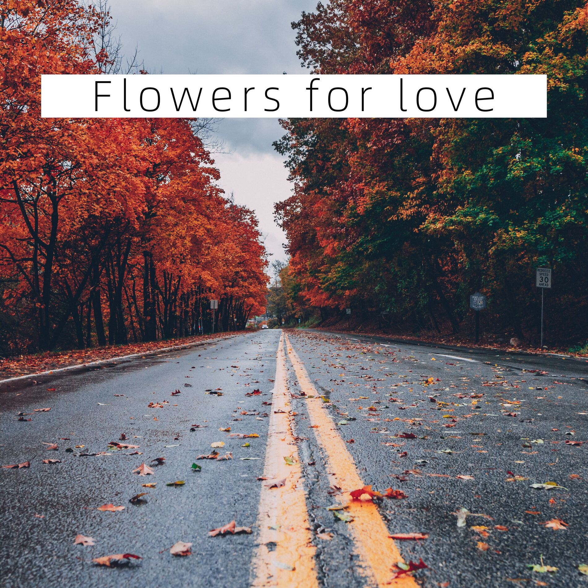 Album cover of Flowers for love