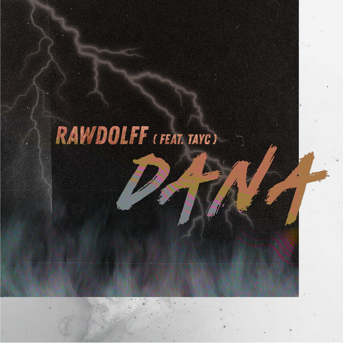 Album cover of Dana