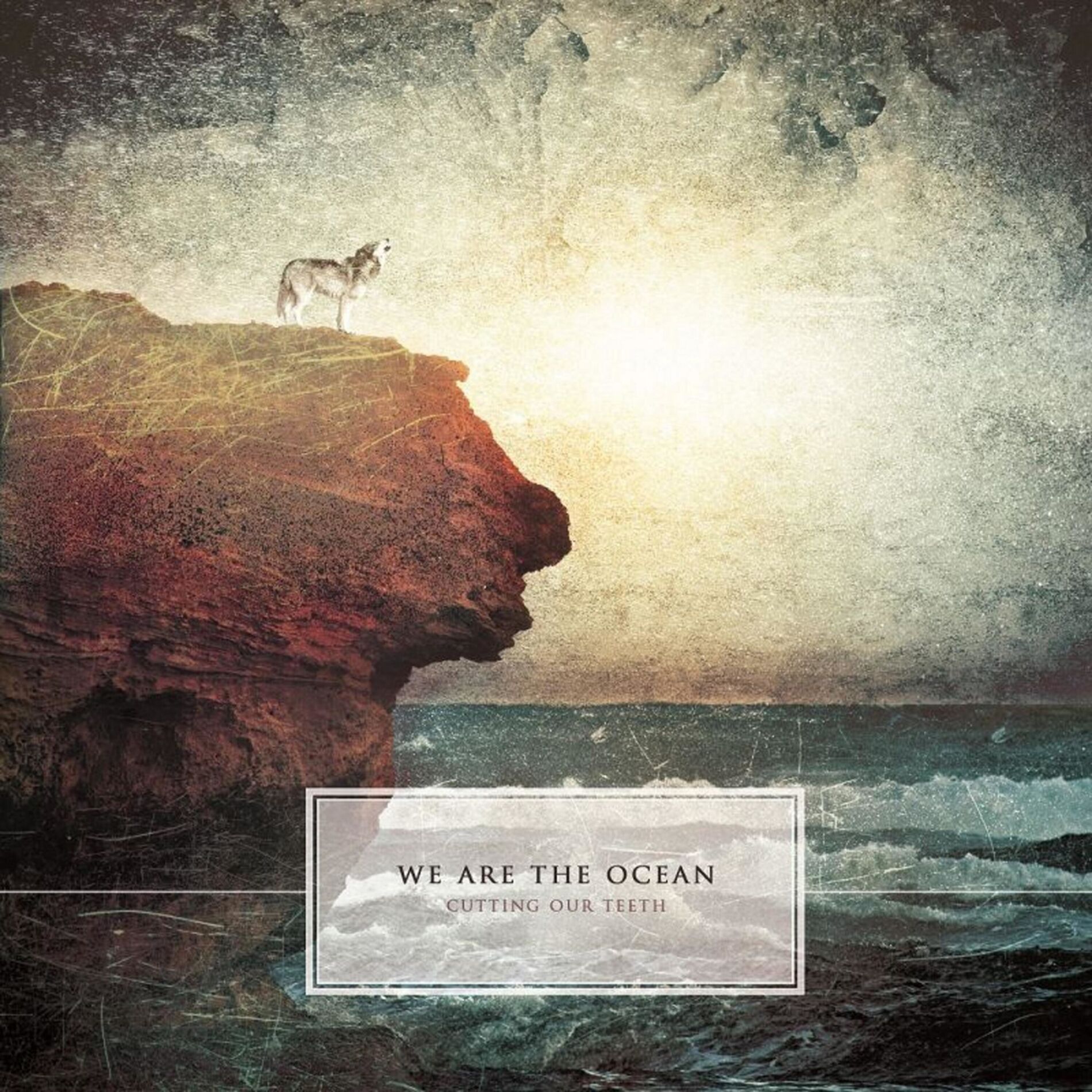 Album cover of Cutting Our Teeth