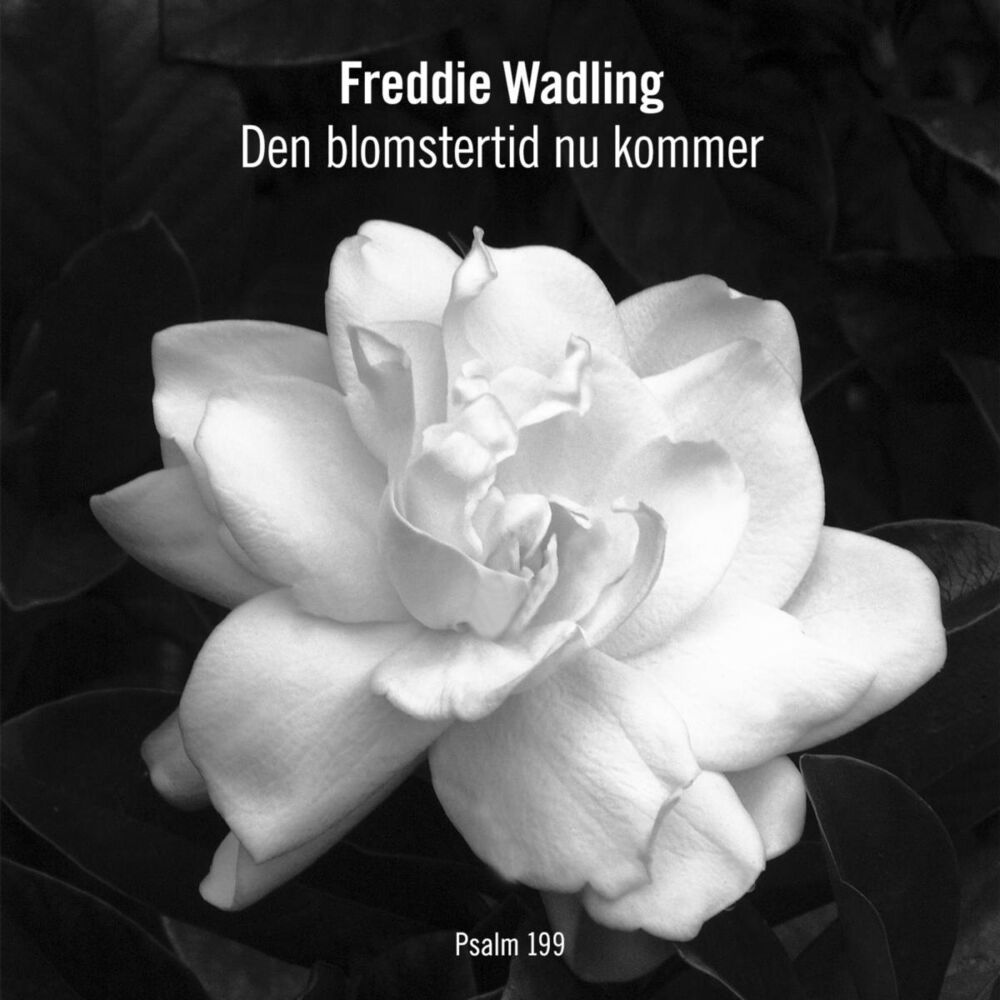 Picture of Den Blomstertid Nu Kommer