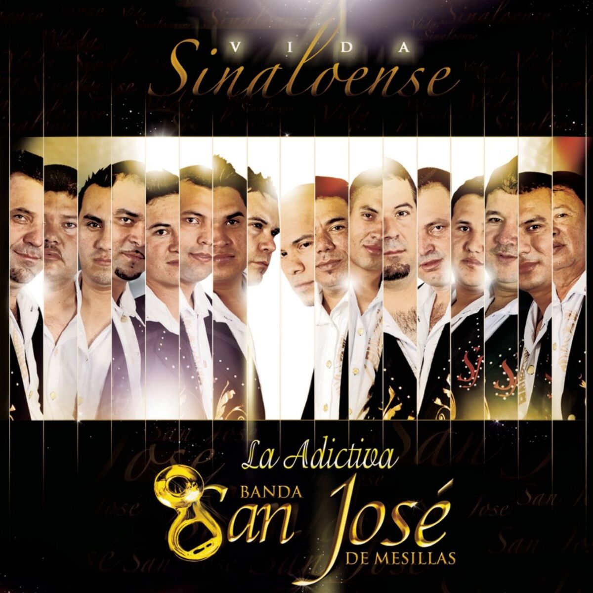 Album cover of Vida Sinaloense