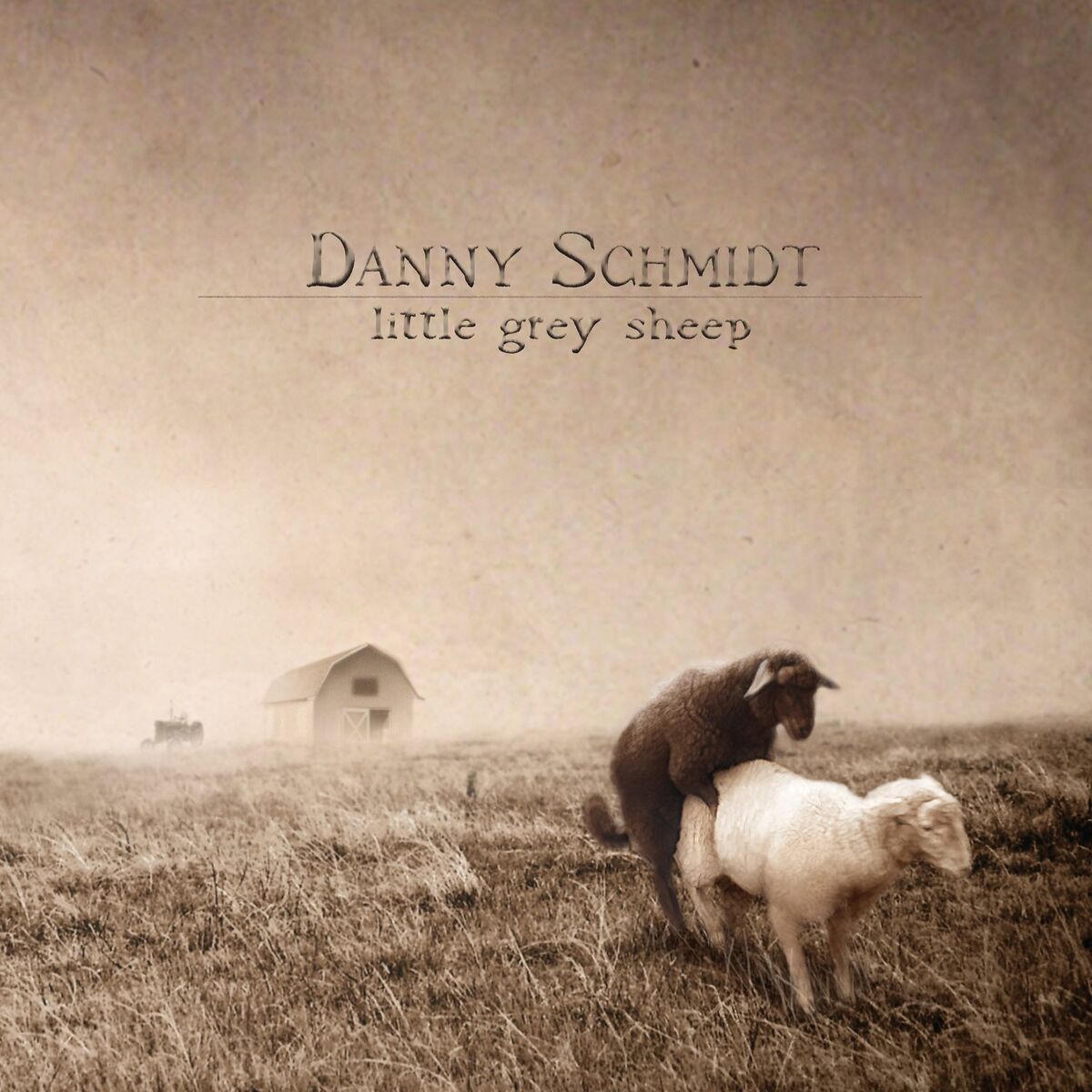 Album cover of Little Grey Sheep