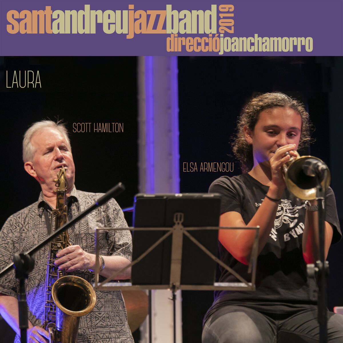 Album cover of Laura