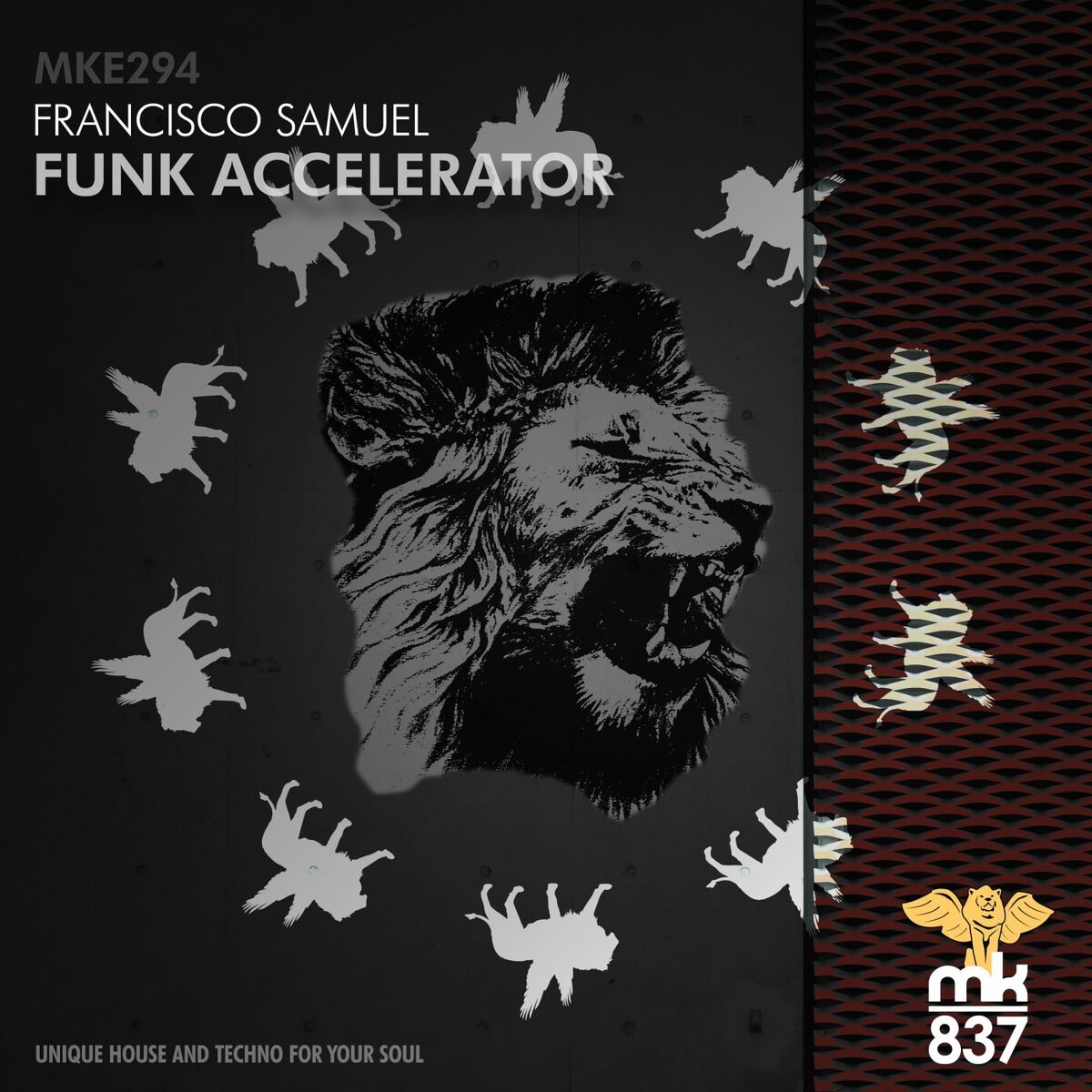 Album cover of Funk Accelerator