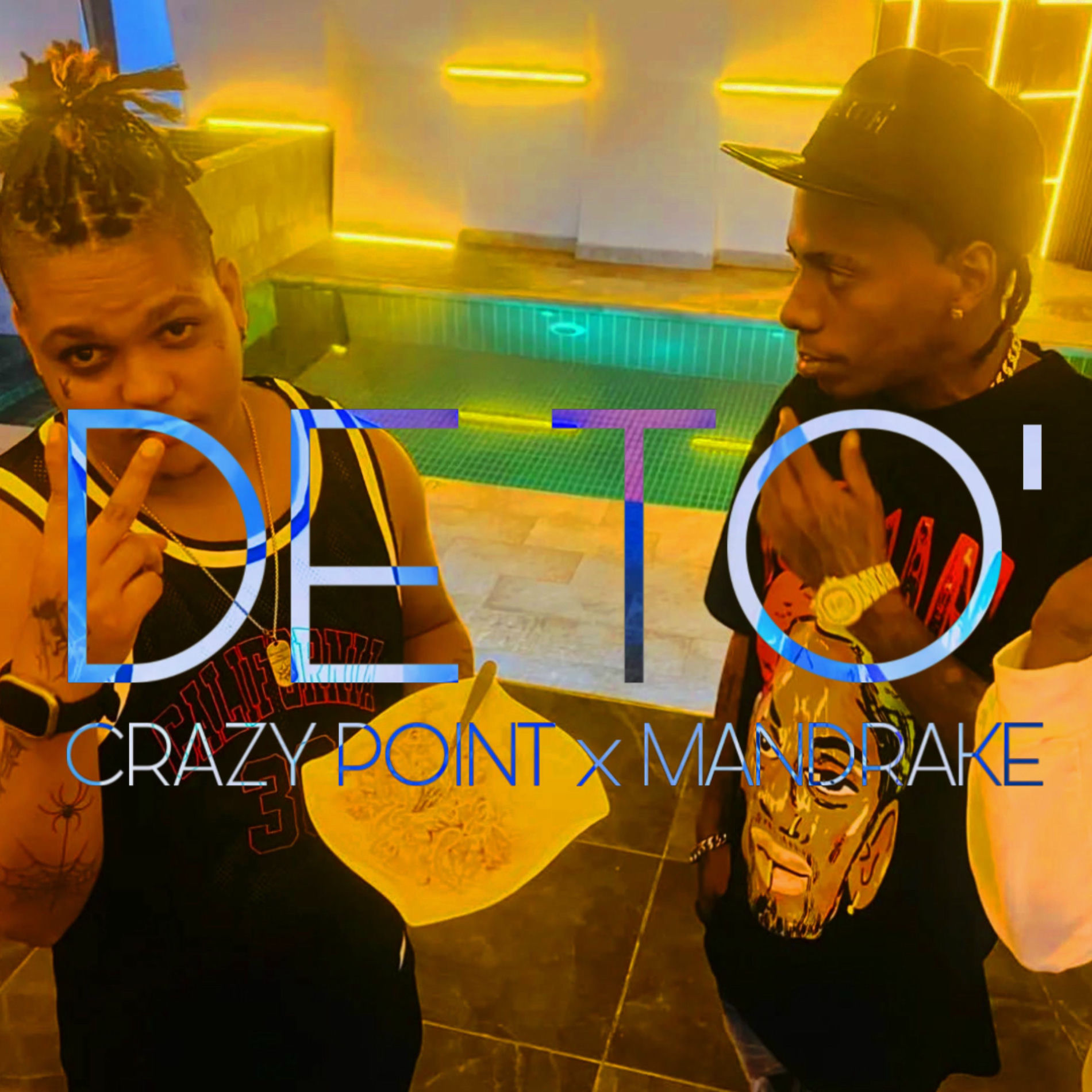 Album cover of De To'