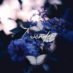 Cover of I Wonder