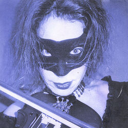 Cover of Black Flamingo