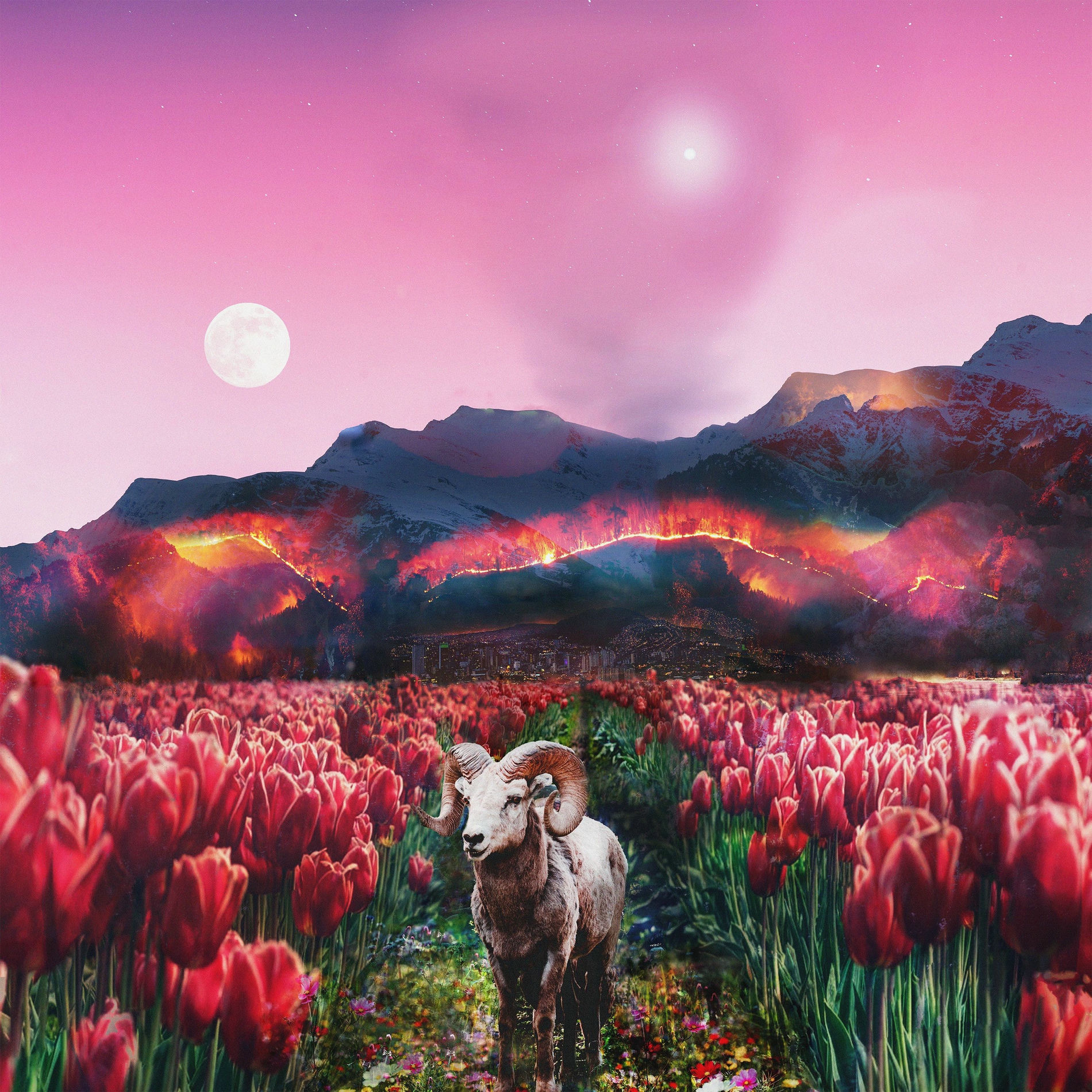 Album cover of Tarot's