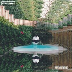 Cover of Thought Pool