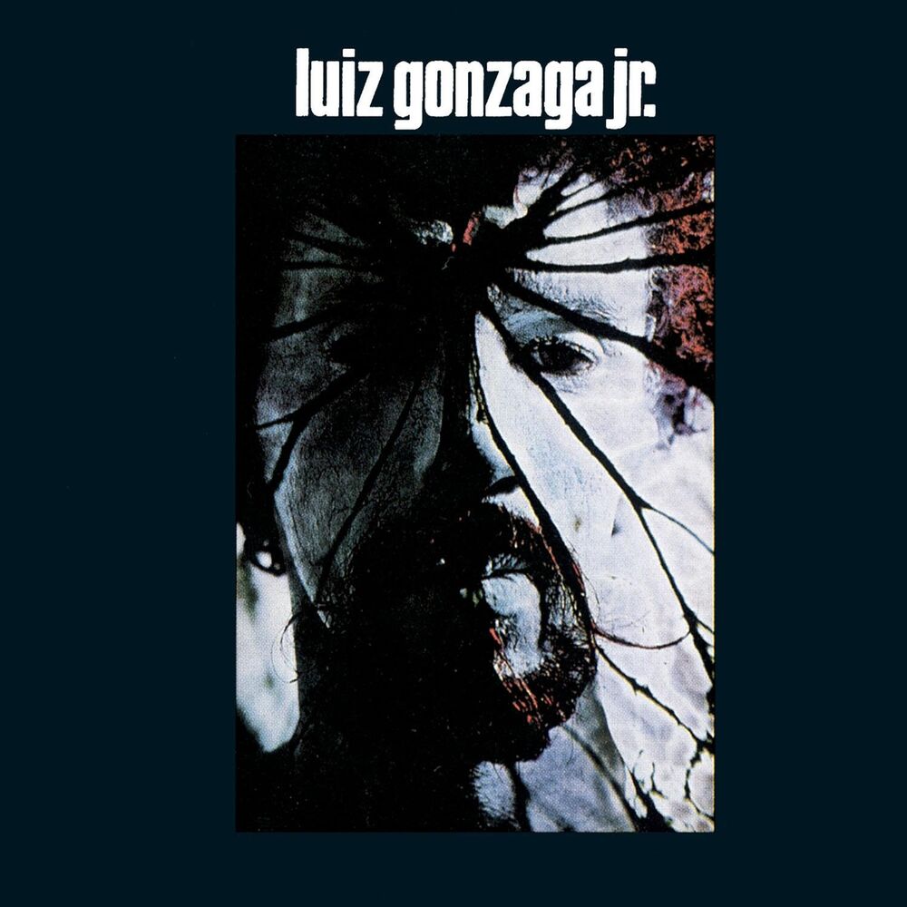 Picture of Luiz Gonzaga Jr - Gonzaguinha