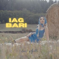 Cover of Iag Bari