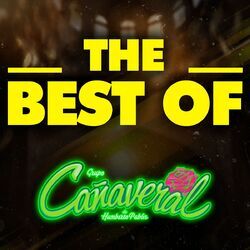 Cover of THE BEST OF