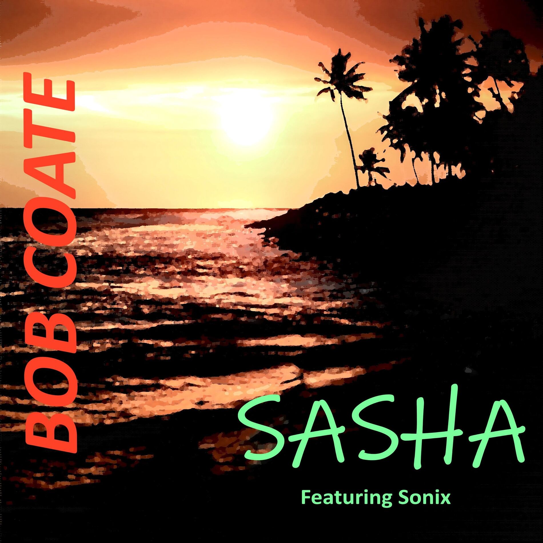 Album cover of Sasha