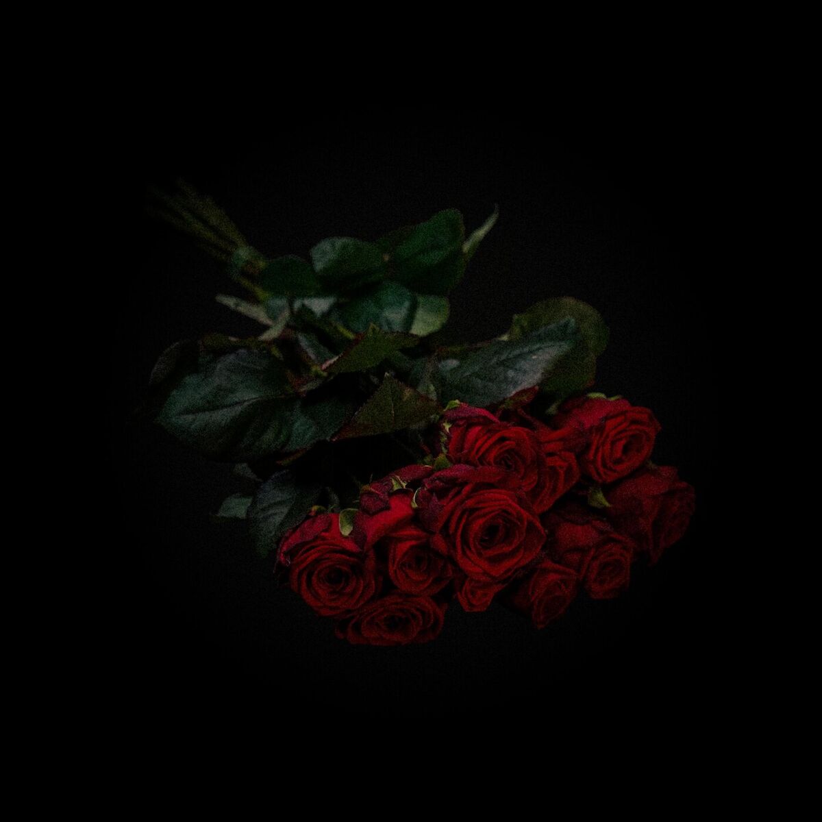 Album cover of Wieso jetzt?