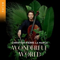 Cover of Wonderful World