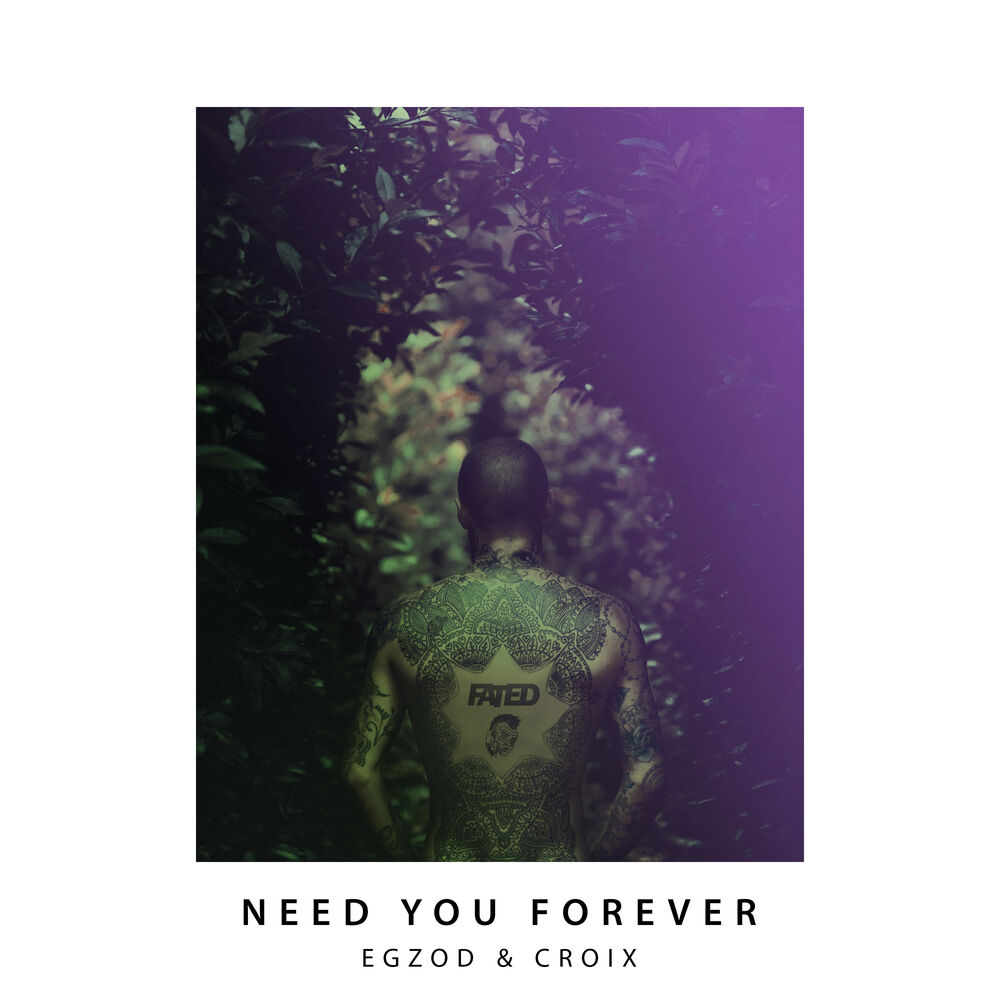 Picture of Need You Forever