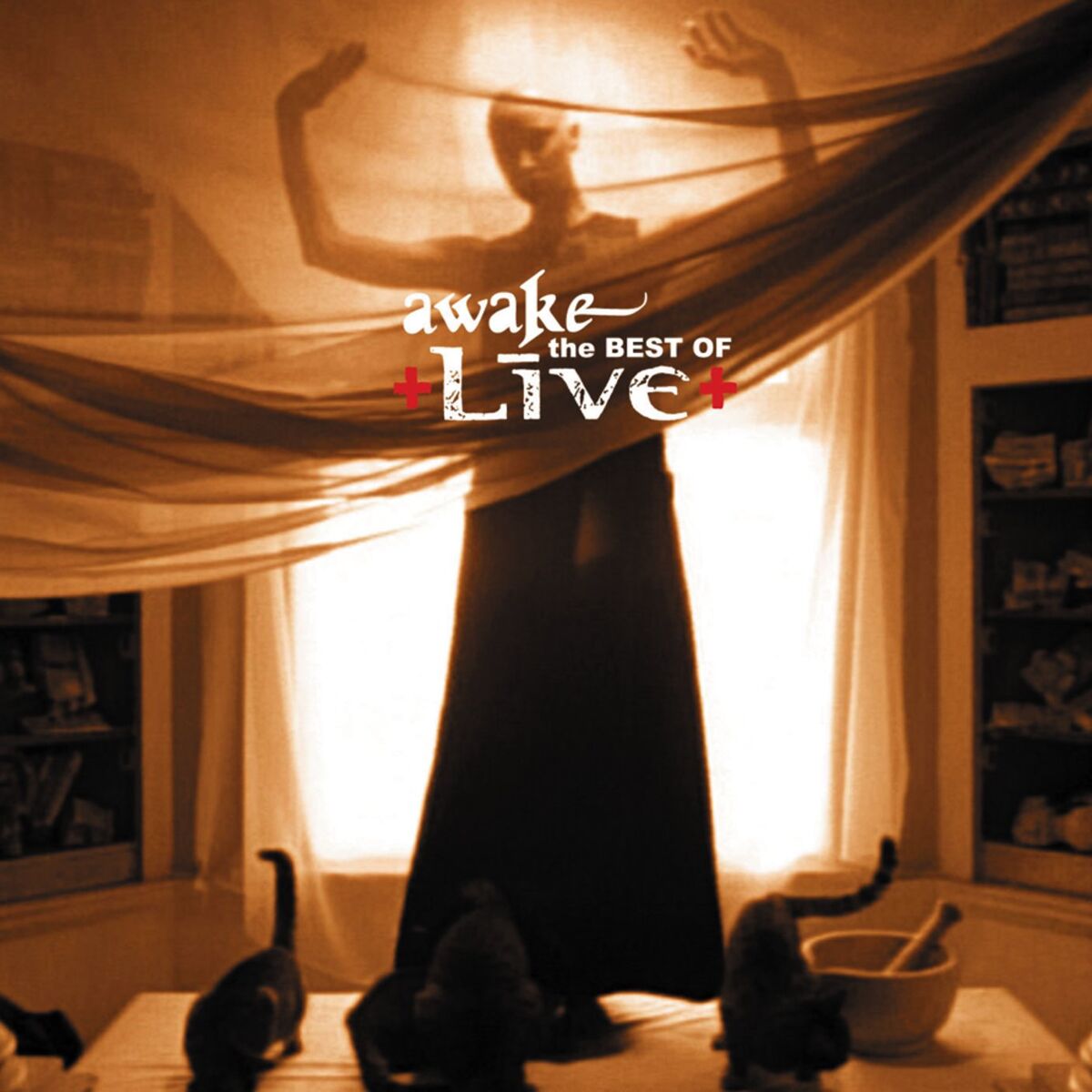 Album cover of Awake: Best Of Live Acoustic (EP)