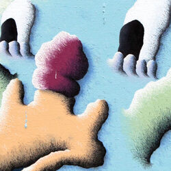Cover of Shallow Grave