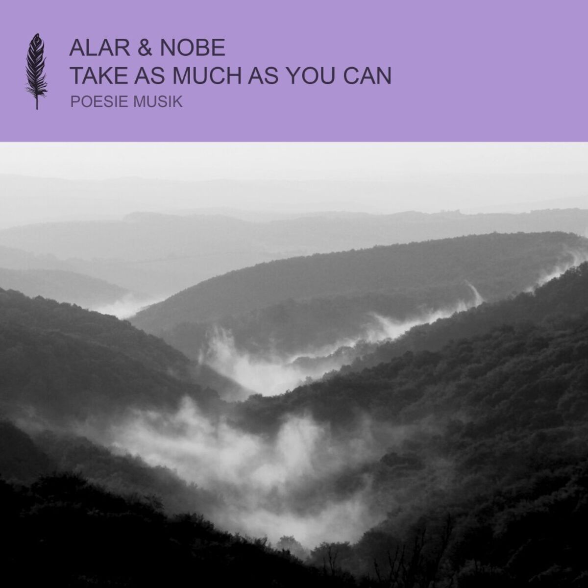 Album cover of Take As Much As You Can